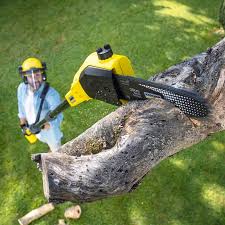 Best Soil Testing and Treatment  in Anderson, SC
